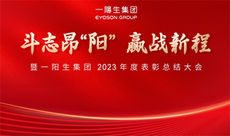 斗志昂阳，赢战新程丨恒峰g22集团2023年度总结表